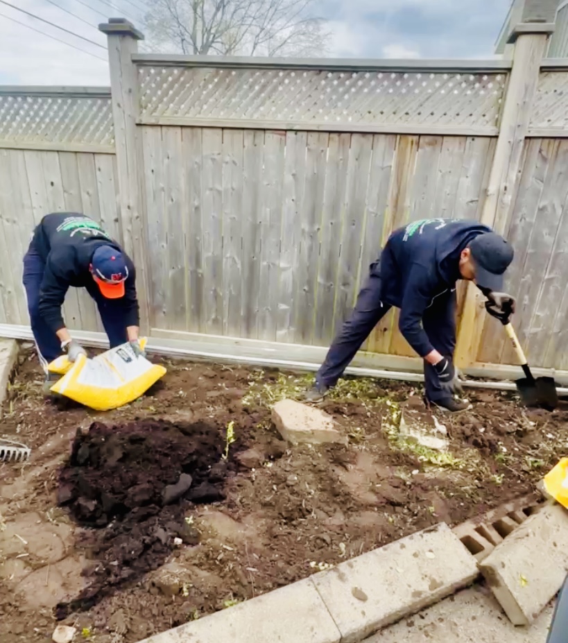 Lush green lawn after professional renovation services by NLLC in Niagara.