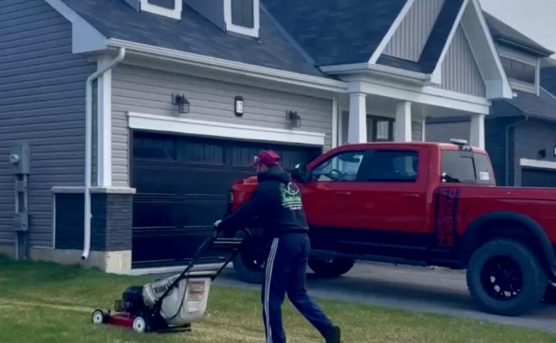 Lawn undergoing dethatching service for improved growth in Niagara.