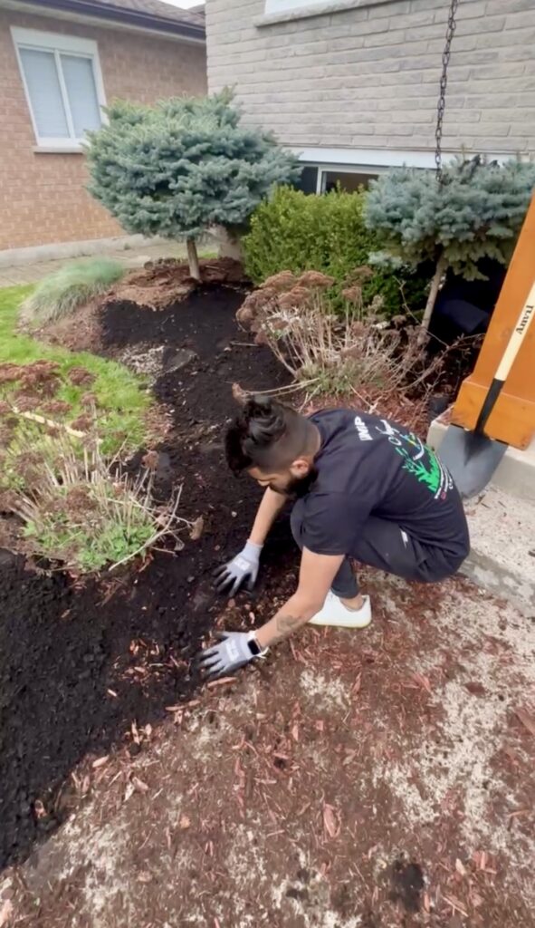 Weed-free, lush green lawn in Niagara after expert weed control services.