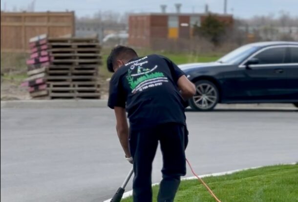 Professionally edged lawn with crisp, clean lines in Niagara.