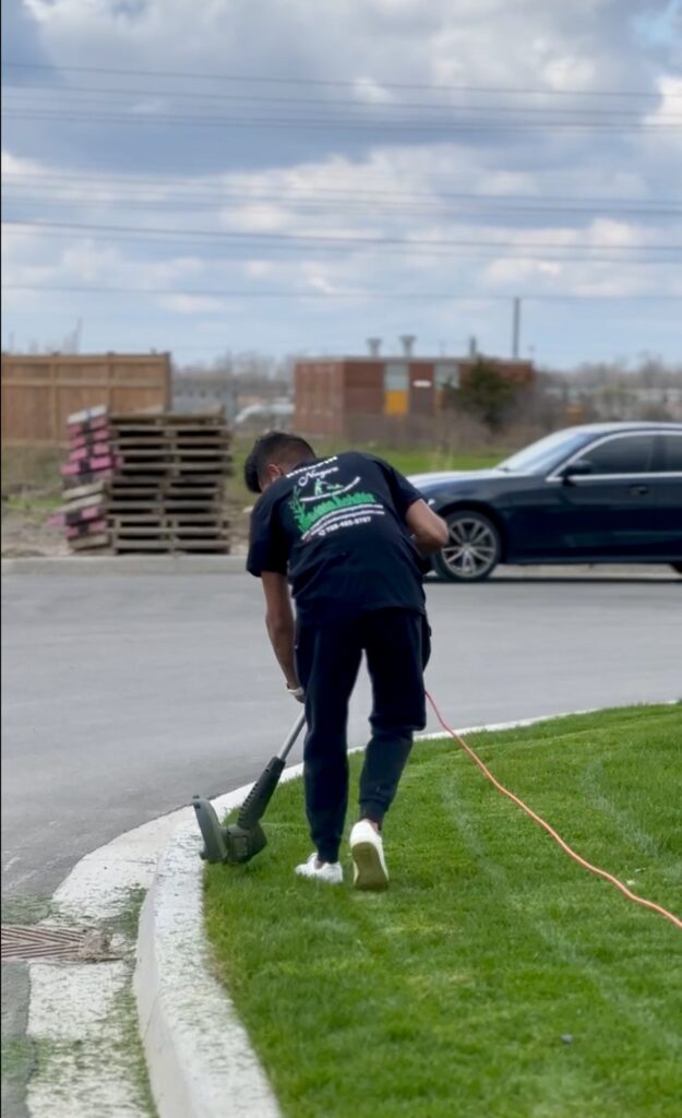 Professionally edged lawn with crisp, clean lines in Niagara.