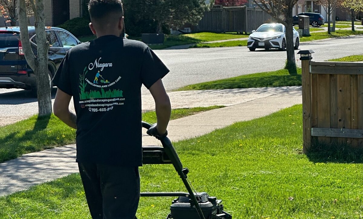 Expert lawn mowing service by NLLC for a lush, green lawn in Niagara.