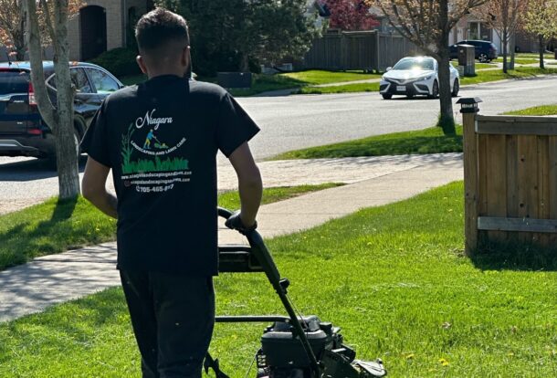 Expert lawn mowing service by NLLC for a lush, green lawn in Niagara.