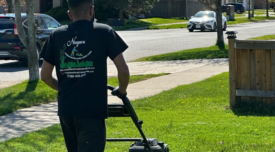 Expert lawn mowing service by NLLC for a lush, green lawn in Niagara.