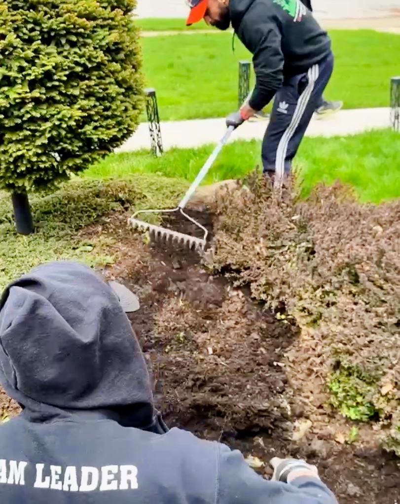 Professional lawn aeration service in Niagara for healthier, greener grass.