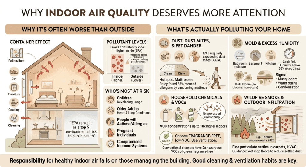 professional cleaning improves indoor air quality